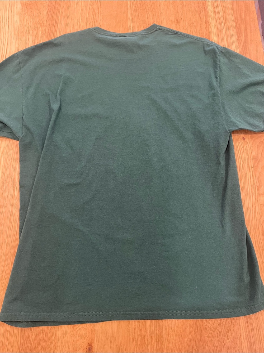 Fruit of the Loom Dark Green Graphic Tee - 'Sorry I Am Already' - Picture 3 of 3